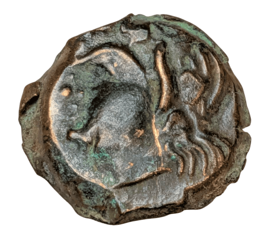 Grèce Antique, Unité, Chersonèse Taurique,  C. 340,325 av.JC, Panticapée TTB