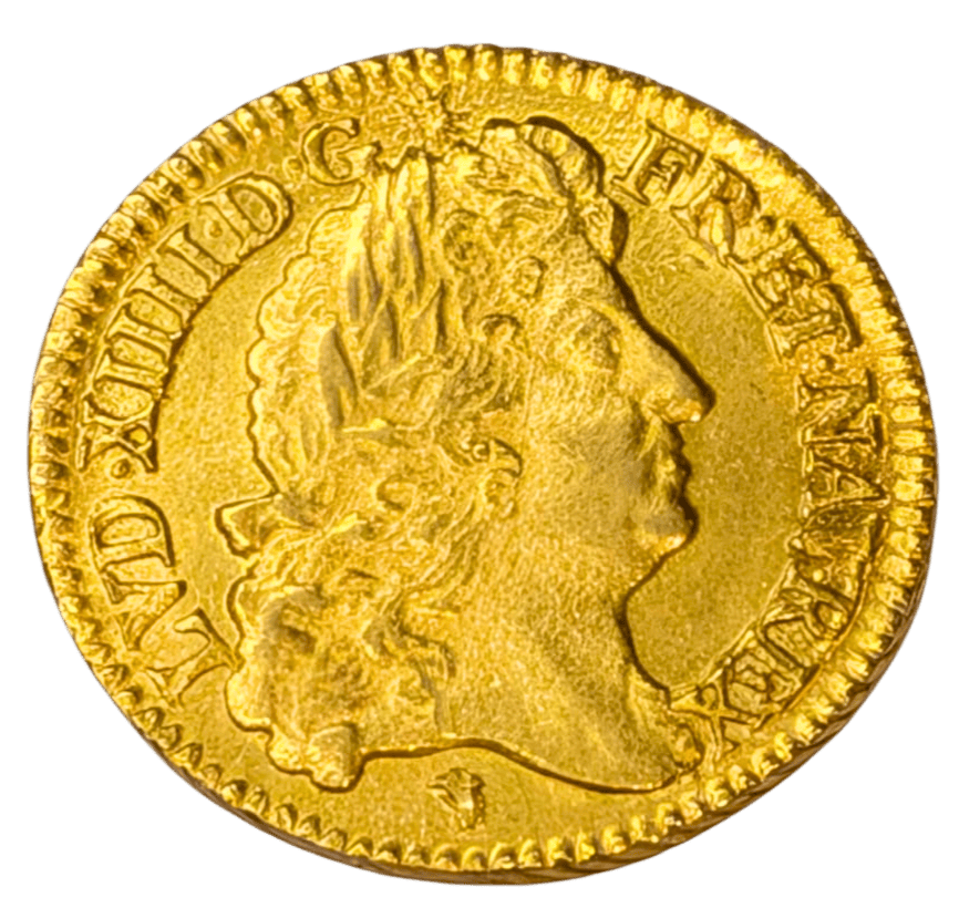 Louis XIV, Louis d'or à l'écu, 1690, Lyon, SPL