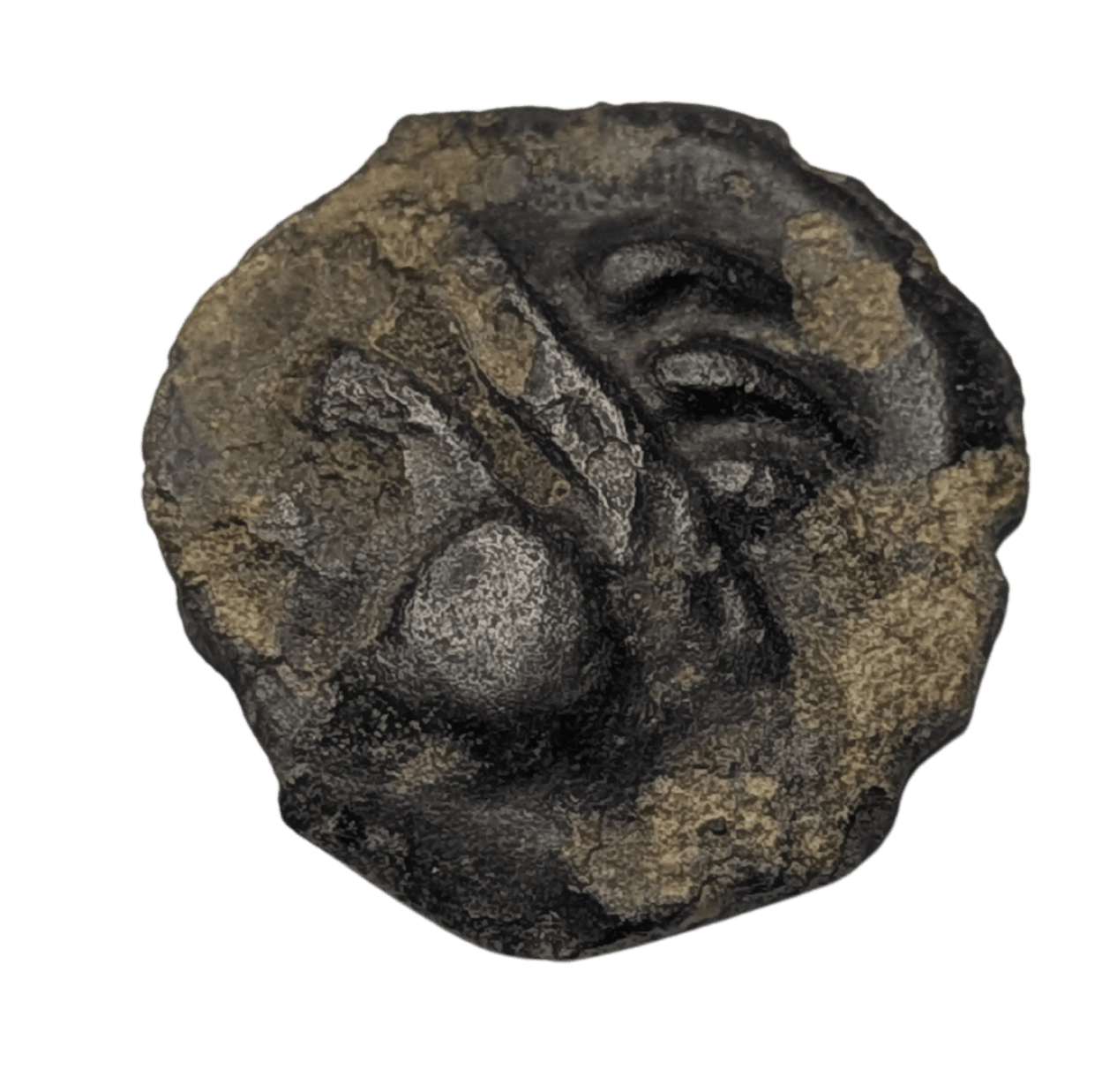 Gauloise, Région de Reims, Potin à la tète d'indien, TTB