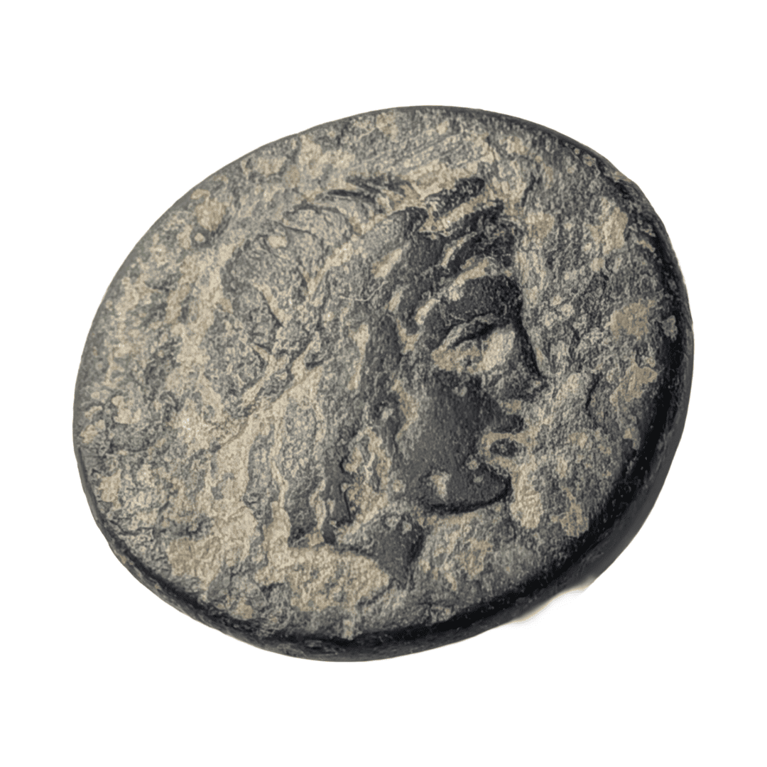 Ionie, Colophon, Unité de bronze, TTB