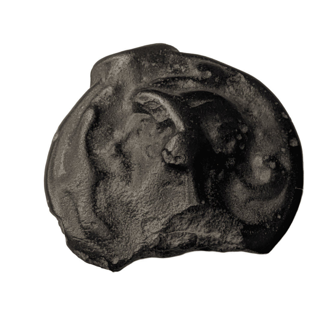 Gauloise, Seine, Potin au taureau et au lis, TTB